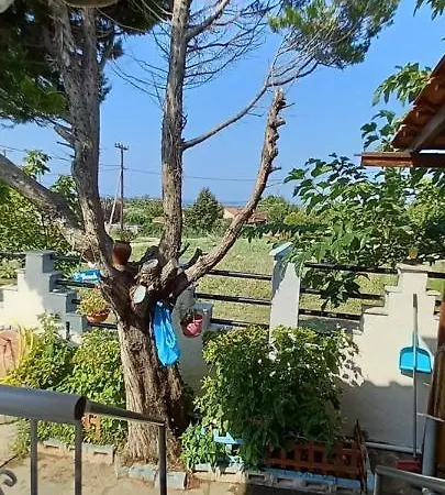 Our Vergia